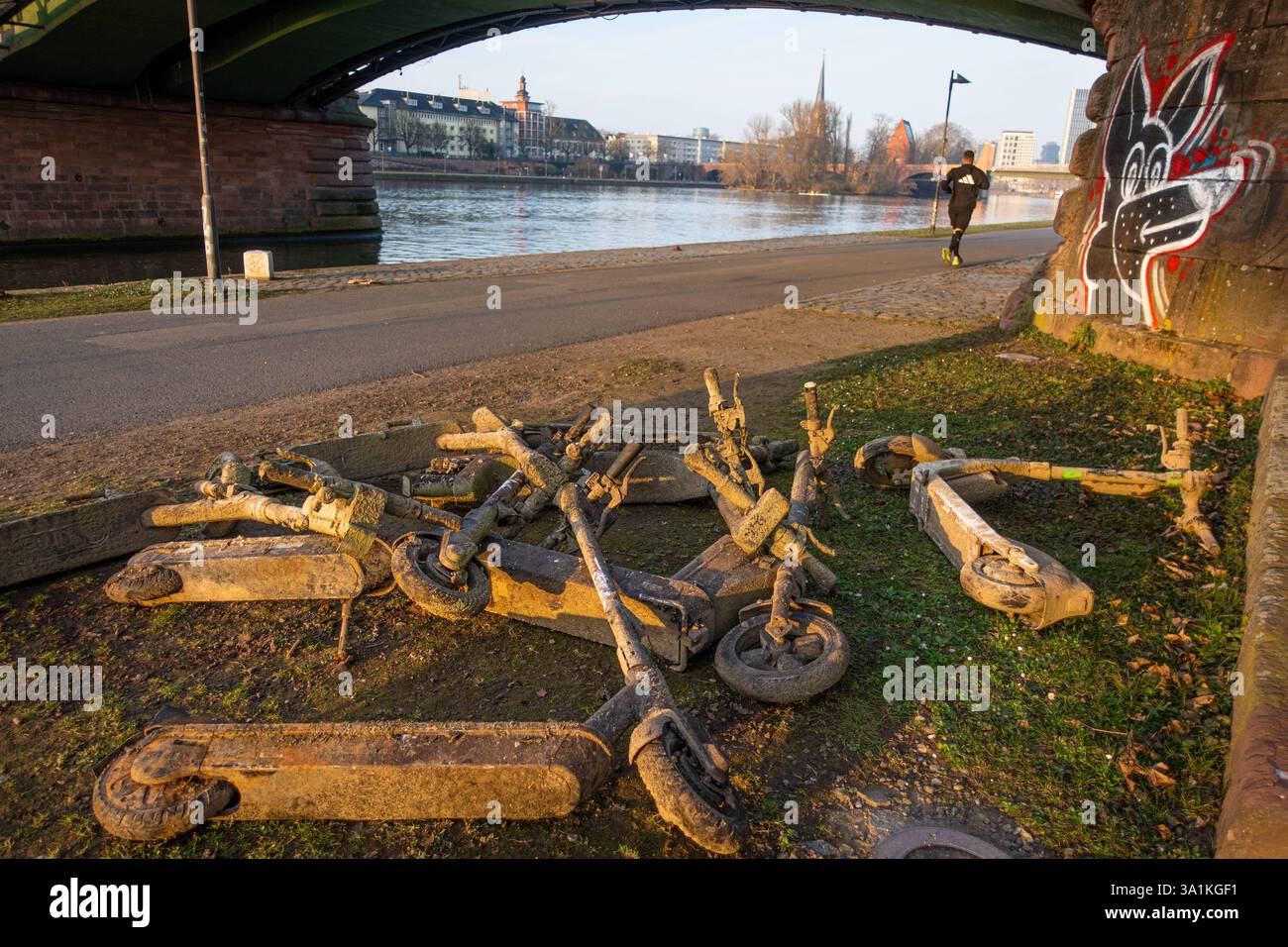 Elektroschrott am Mainufer Mehrere Elektroroller, Die in Frankfurt aus dem Main gezogen wurden, liegen als Schrott am Mainufer. Francoforte sul meno Assia Deutschland *** rottami elettronici sulle rive del meno diversi scooter elettrici usciti dal meno a Francoforte sono giacenti come rottami sulle rive del meno Francoforte sul meno Assia Germania 2025-03-09 ffm mainufer elektroschrott 01 Foto Stock