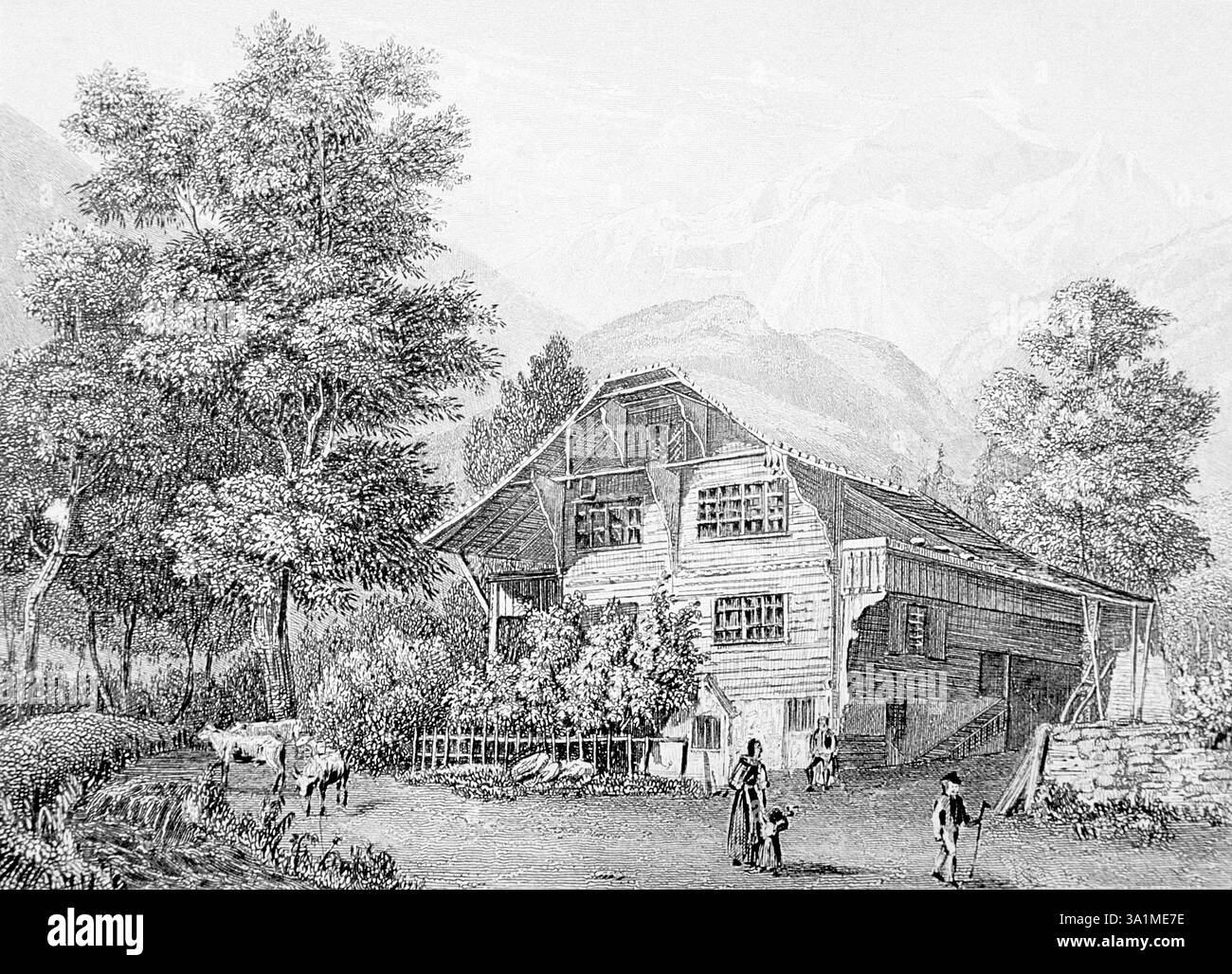 Illustrazione, agricoltura, coltivazione, all'aperto, agricoltore, fattoria, biologia, rappresentazione, giardino, giardinaggio, giardinaggio, storia, illustrazione, fattoria, e Foto Stock