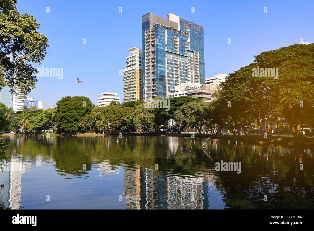 Grattacieli sullo sfondo di un bacino artificiale nel Parco Lumphinee - spazio pubblico aperto, il primo parco pubblico a Bangkok e in Thailandia Foto Stock