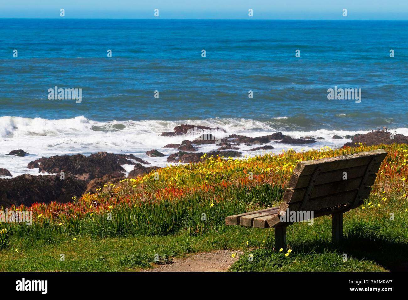 Rilassante e colorato panorama della costa californiana e dell'Oceano Pacifico presso lo splendido Lampton Cliffs Park a Cambria, San Luis Obispo County, California, Stati Uniti Foto Stock