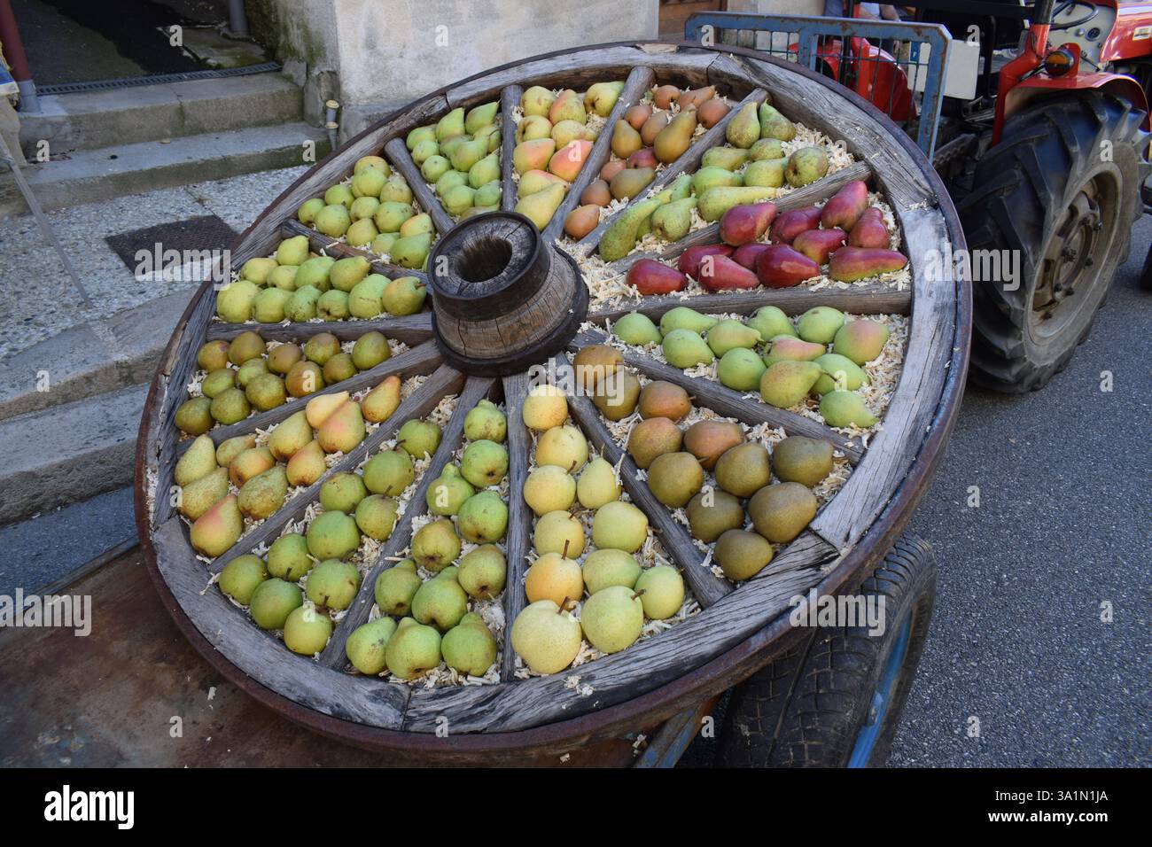 Un carrello in legno rustico pieno di vivaci pere multicolori, trainato da un trattore, che mostra il fascino rurale e le fresche vibrazioni del raccolto. Foto Stock