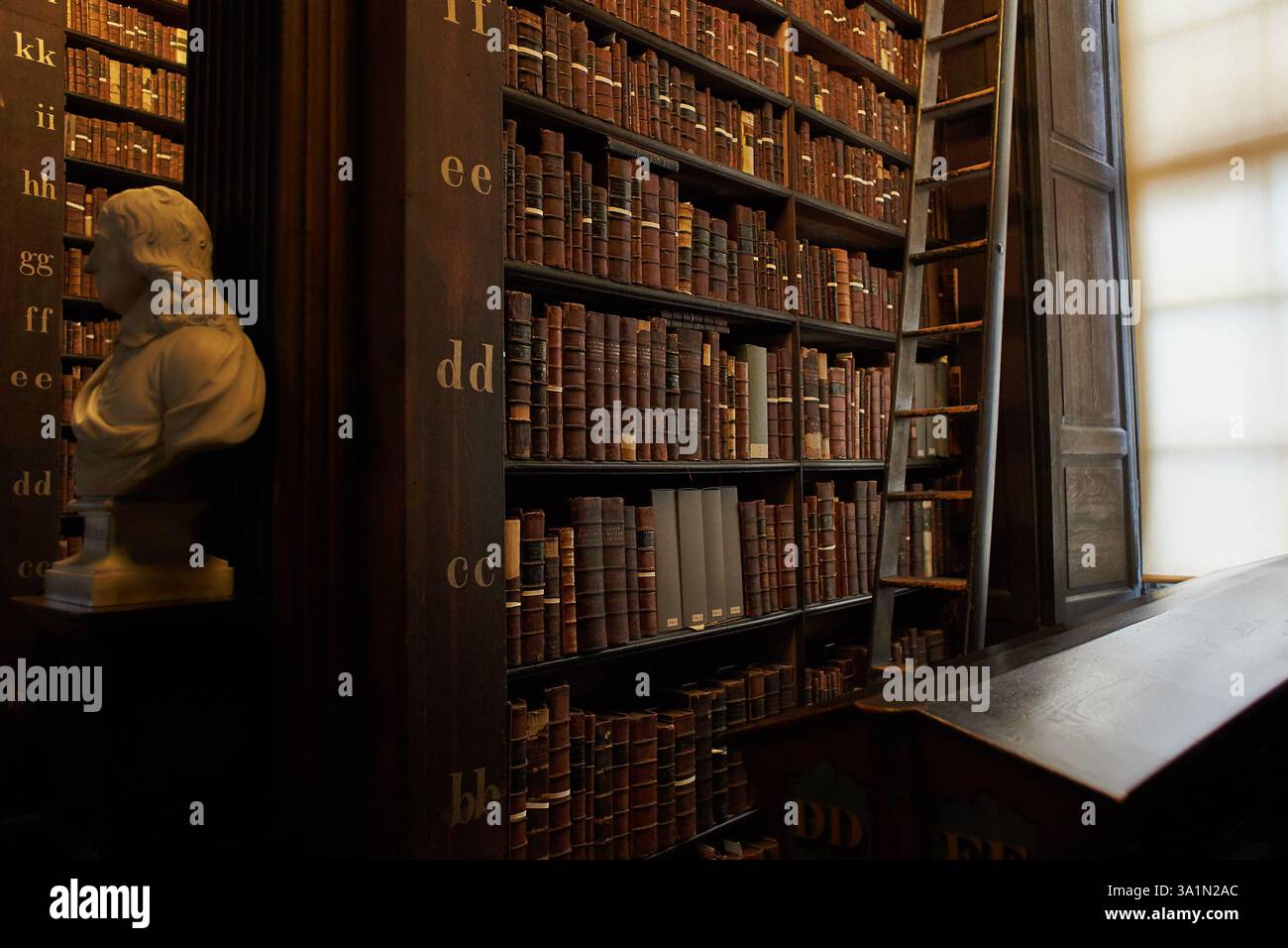 Tour dei vecchi libri selfs nel Libro di Kells e della vecchia biblioteca a Dublino, Irlanda, al Trinity College di Dublino Foto Stock