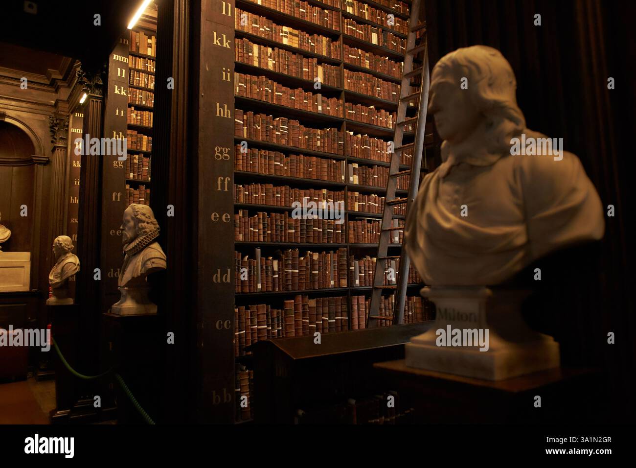 Tour dei vecchi libri selfs nel Libro di Kells e della vecchia biblioteca a Dublino, Irlanda, al Trinity College di Dublino Foto Stock