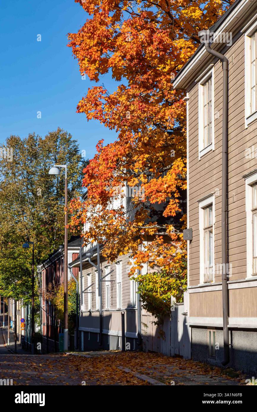 Colori autunnali contro il cielo azzurro nel quartiere residenziale Puu-Vallila di Helsinki, Finlandia Foto Stock