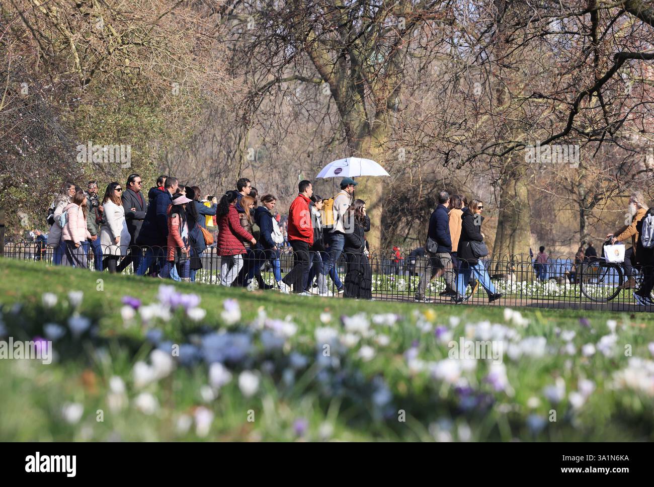 La primavera si snoda a St James Park, nel centro di Londra, Regno Unito Foto Stock