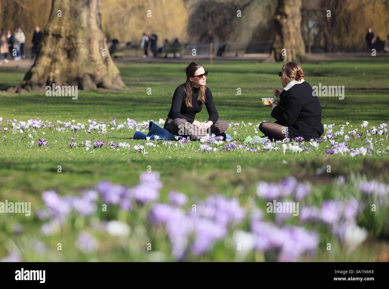 La primavera si snoda a St James Park, nel centro di Londra, Regno Unito Foto Stock