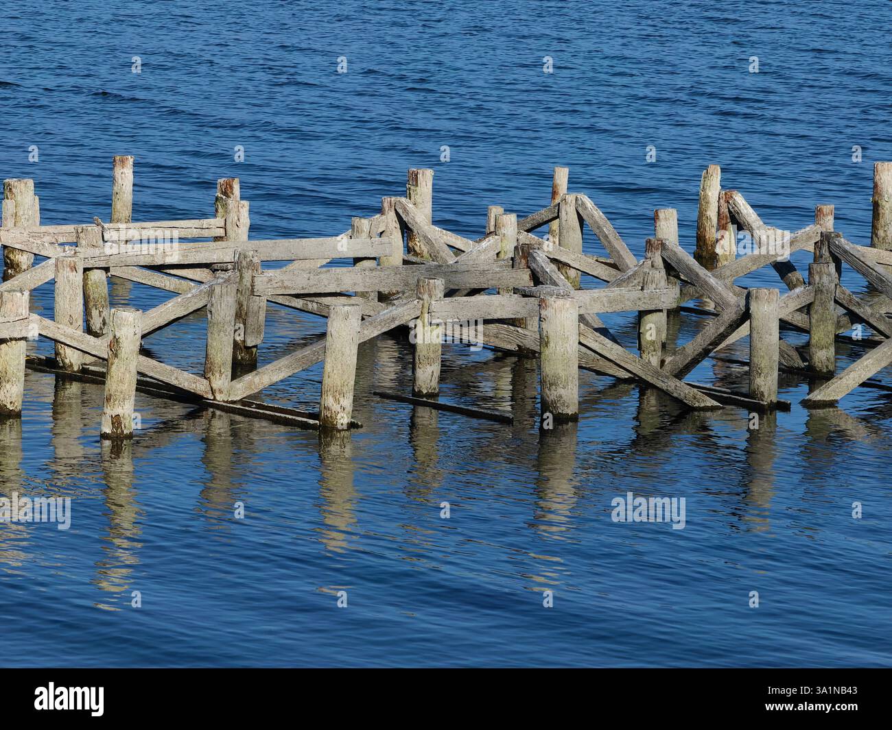 Acque in discesa - rivelati tronchi di legno Foto Stock