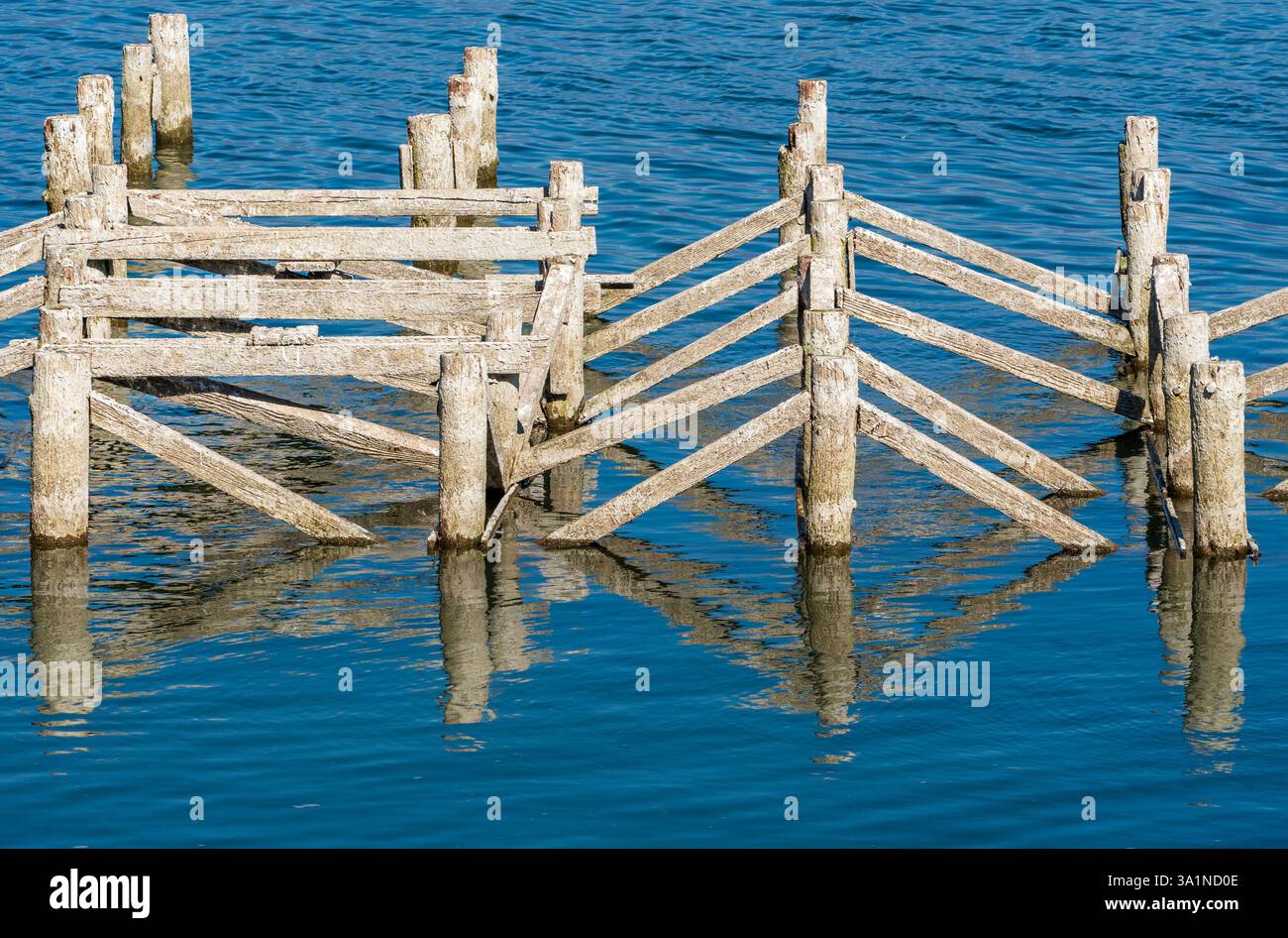 Acque in discesa - rivelati tronchi di legno Foto Stock