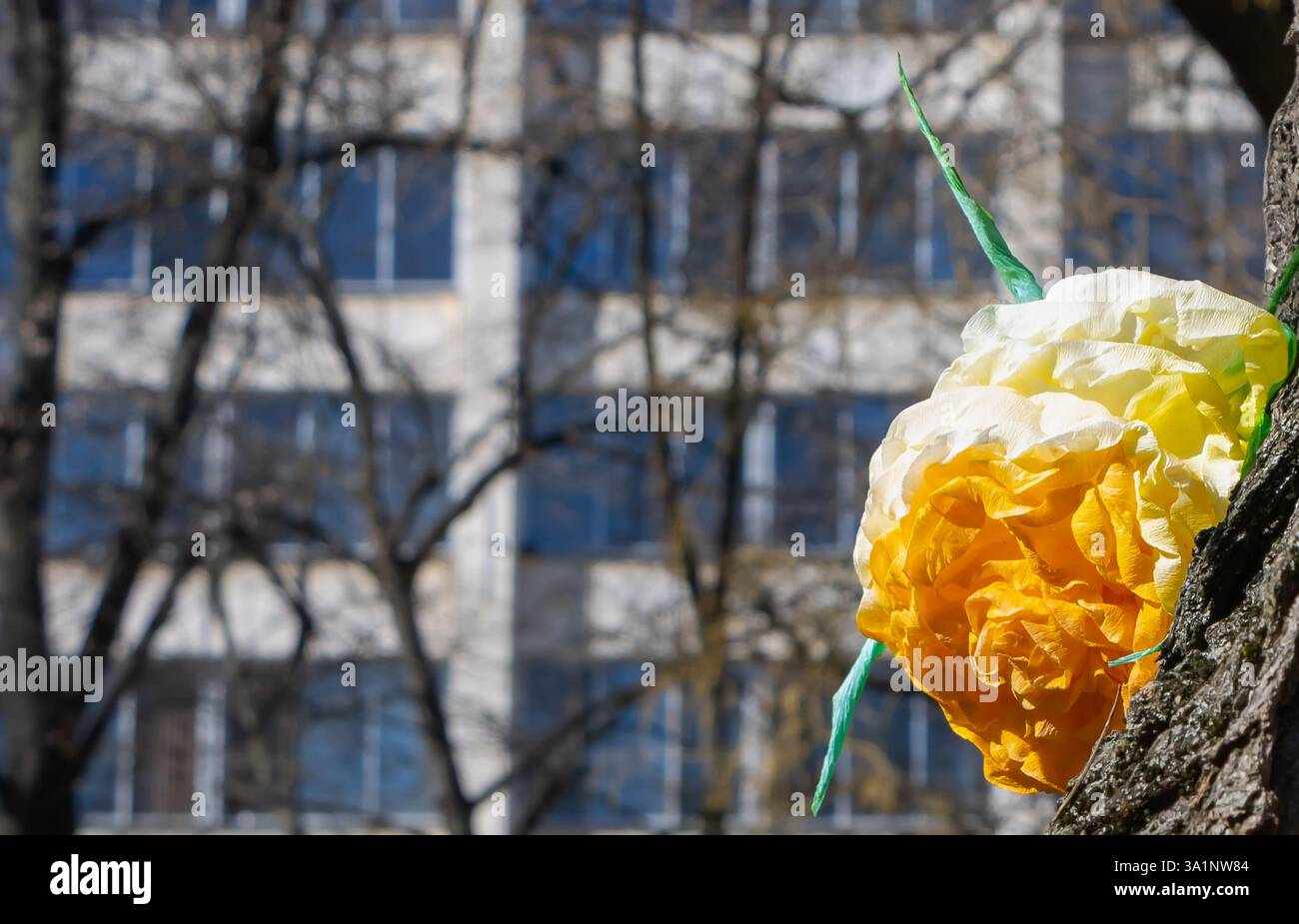 Fiori di tessuto dai colori vivaci adornano un tronco di albero, creando un contrasto allegro con gli edifici moderni sullo sfondo. Foto Stock