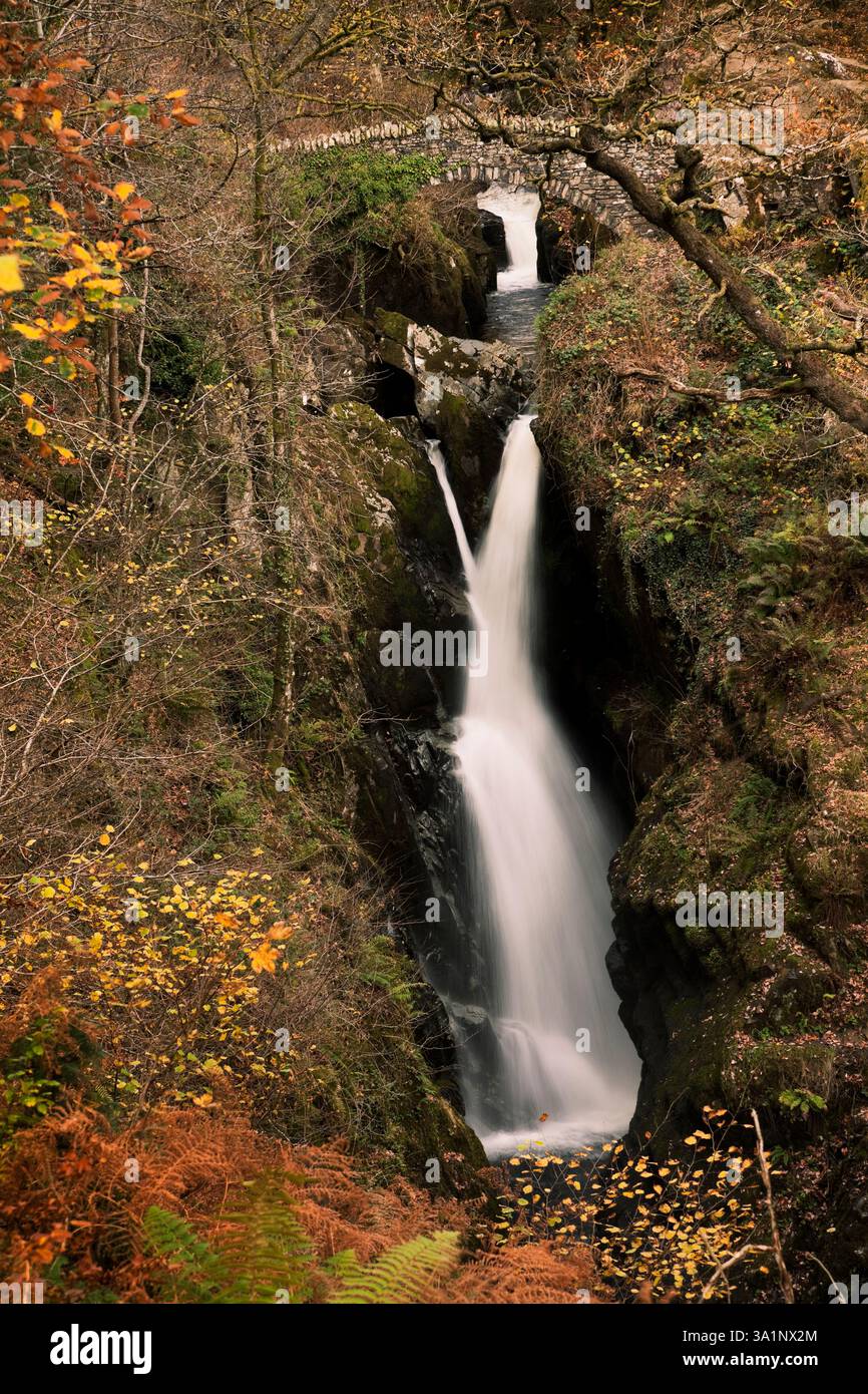 Le cascate inferiori dell'Aira Force e la passerella pedonale superiore, nel Lake District inglese in autunno Foto Stock