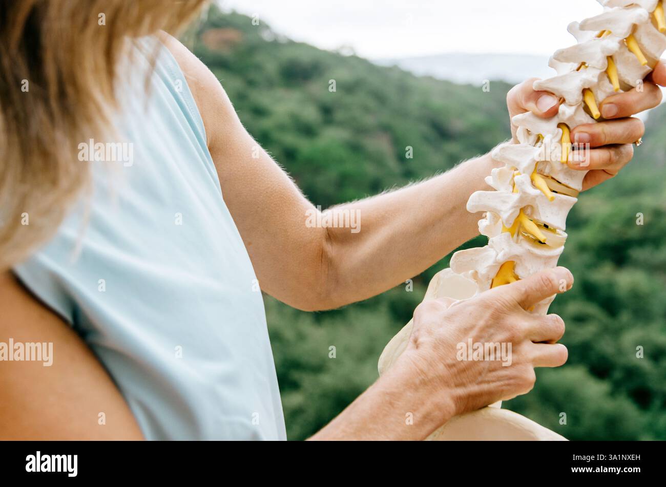 Primo piano del fisioterapista che tiene in mano il modello anatomico della colonna vertebrale Foto Stock