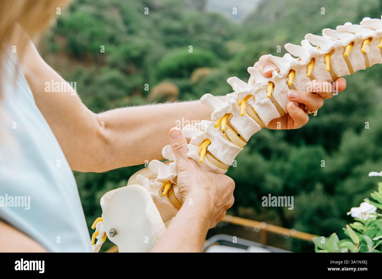 Primo piano del fisioterapista che tiene in mano il modello anatomico della colonna vertebrale Foto Stock