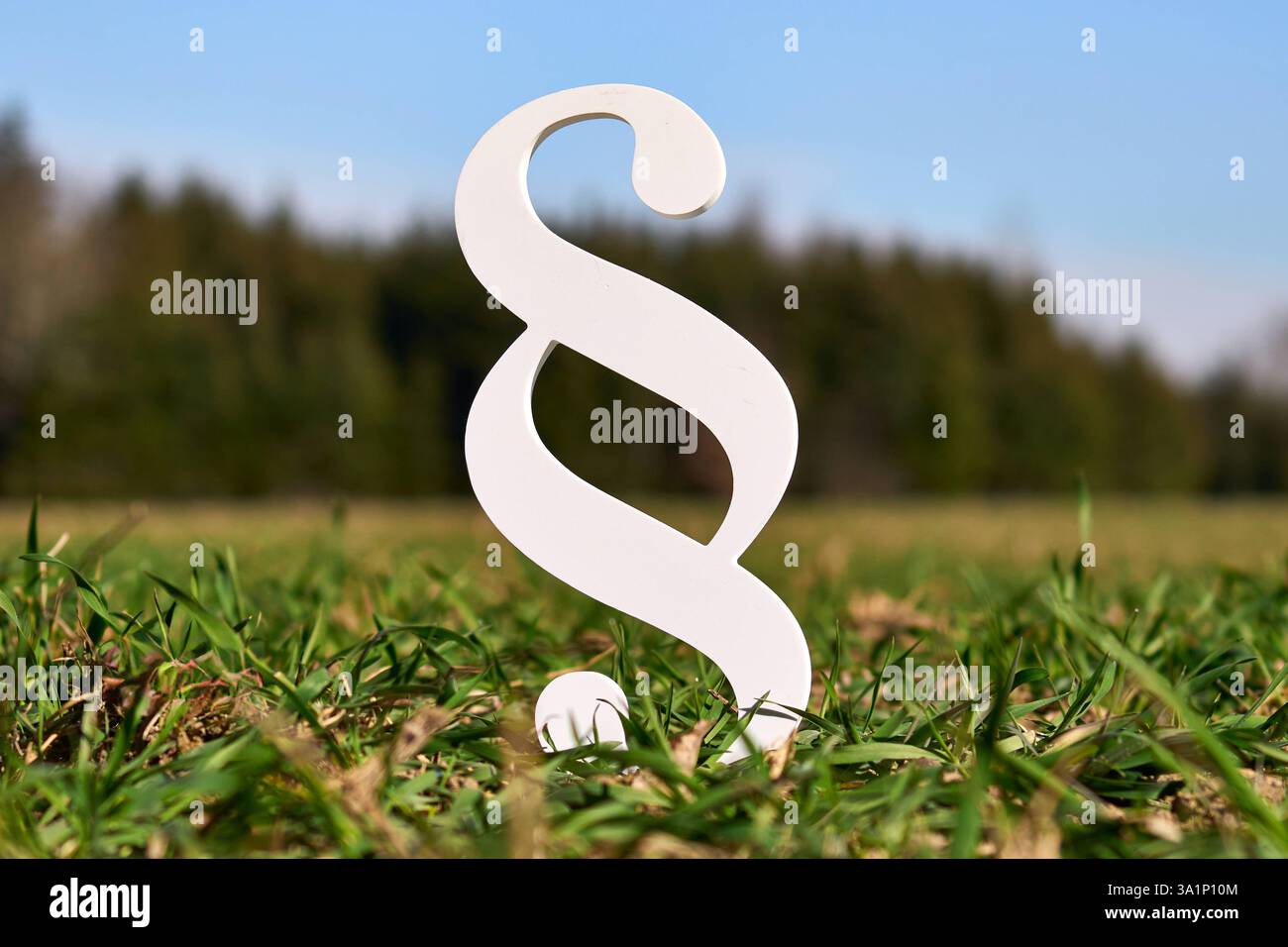 Baviera, Germania - 9 marzo 2025: Un simbolo di paragrafo è bloccato in un prato. Simbolo della legge e dell'ordine nei settori dell'ambiente, dell'imposta sui beni immobili e del diritto edilizio *** Ein Paragraphen-Symbol steckt in einer Wiese. Sinnbild für Recht und Gesetz im Bereich Umwelt, Grundsteuer und Baurecht Foto Stock