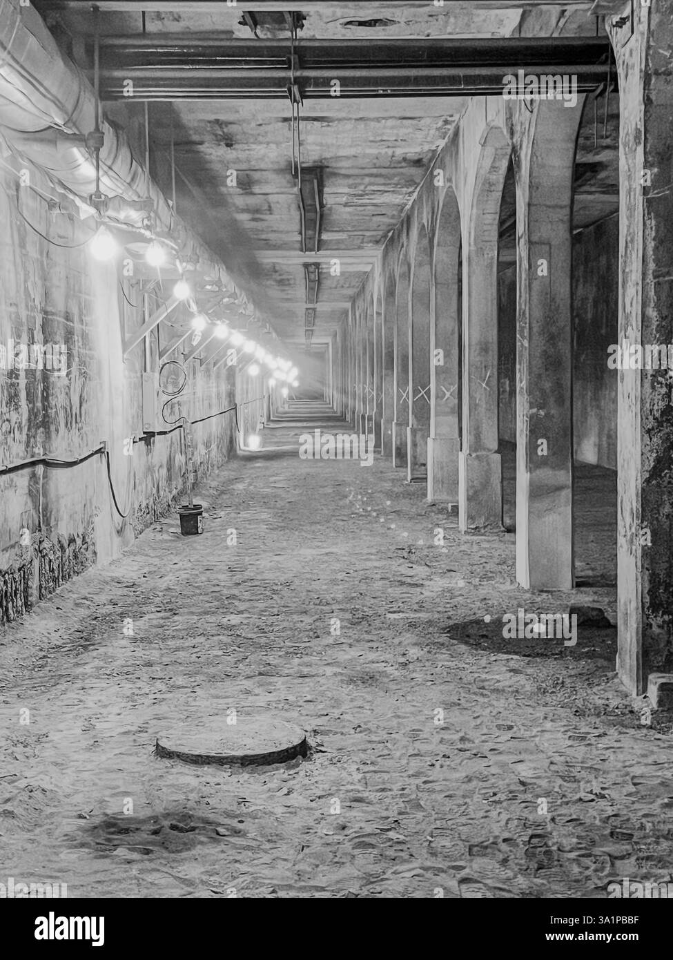 Livello tram abbandonato sotto il Detroit-Superior Bridge Foto Stock