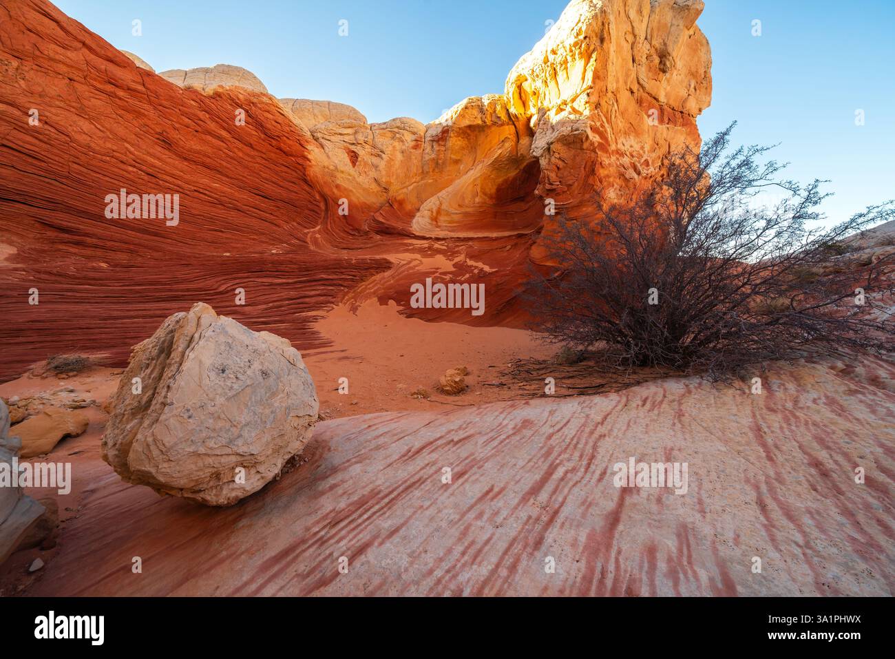 Esplora il suggestivo paesaggio di White Pocket nel Vermilion Cliffs National Monument in Arizona. Le tonalità rosse e arancioni definiscono l'imponente roccia Foto Stock