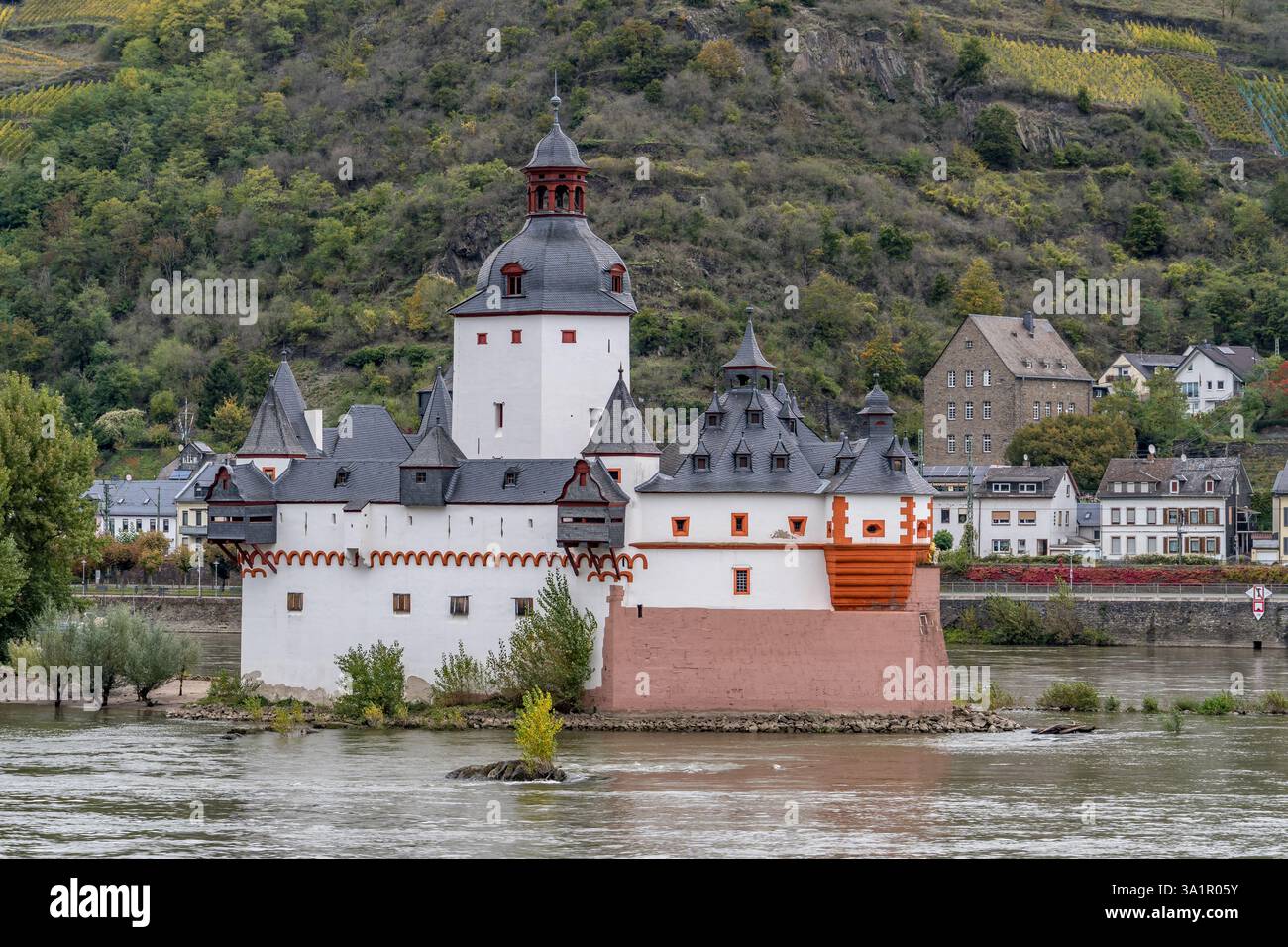 Fortezza isoletta sul Reno, Pfalzgrafenstein: Una torre compatta in pietra con torrette angolari, tetti in ardesia e un cortile centrale, che riflette la difesa fluviale Foto Stock