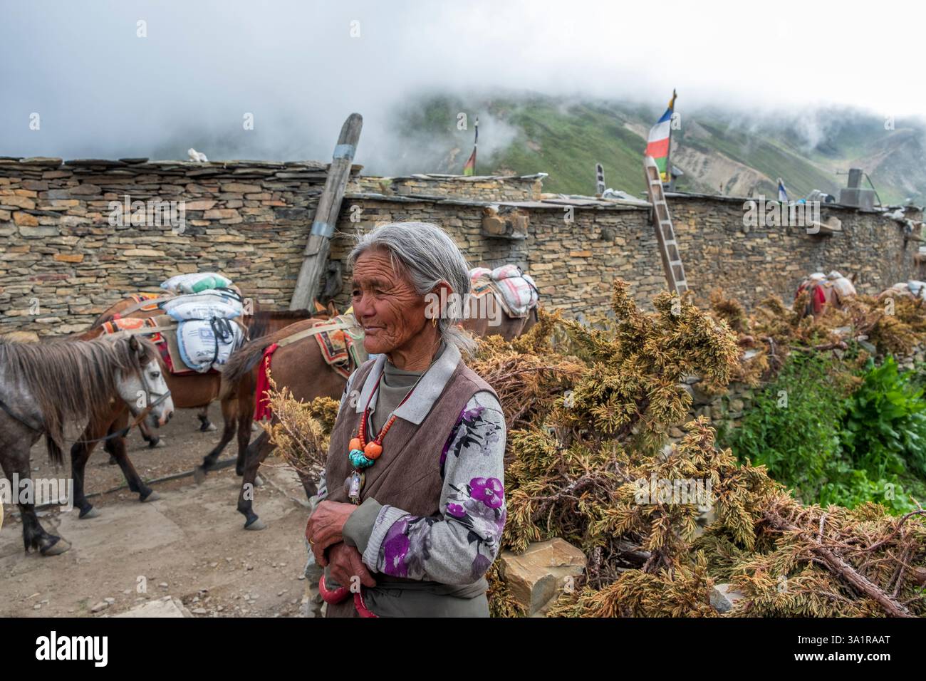 Una donna anziana posa nel villaggio di Nar, una delle aree ristrette del Nepal. Foto Stock