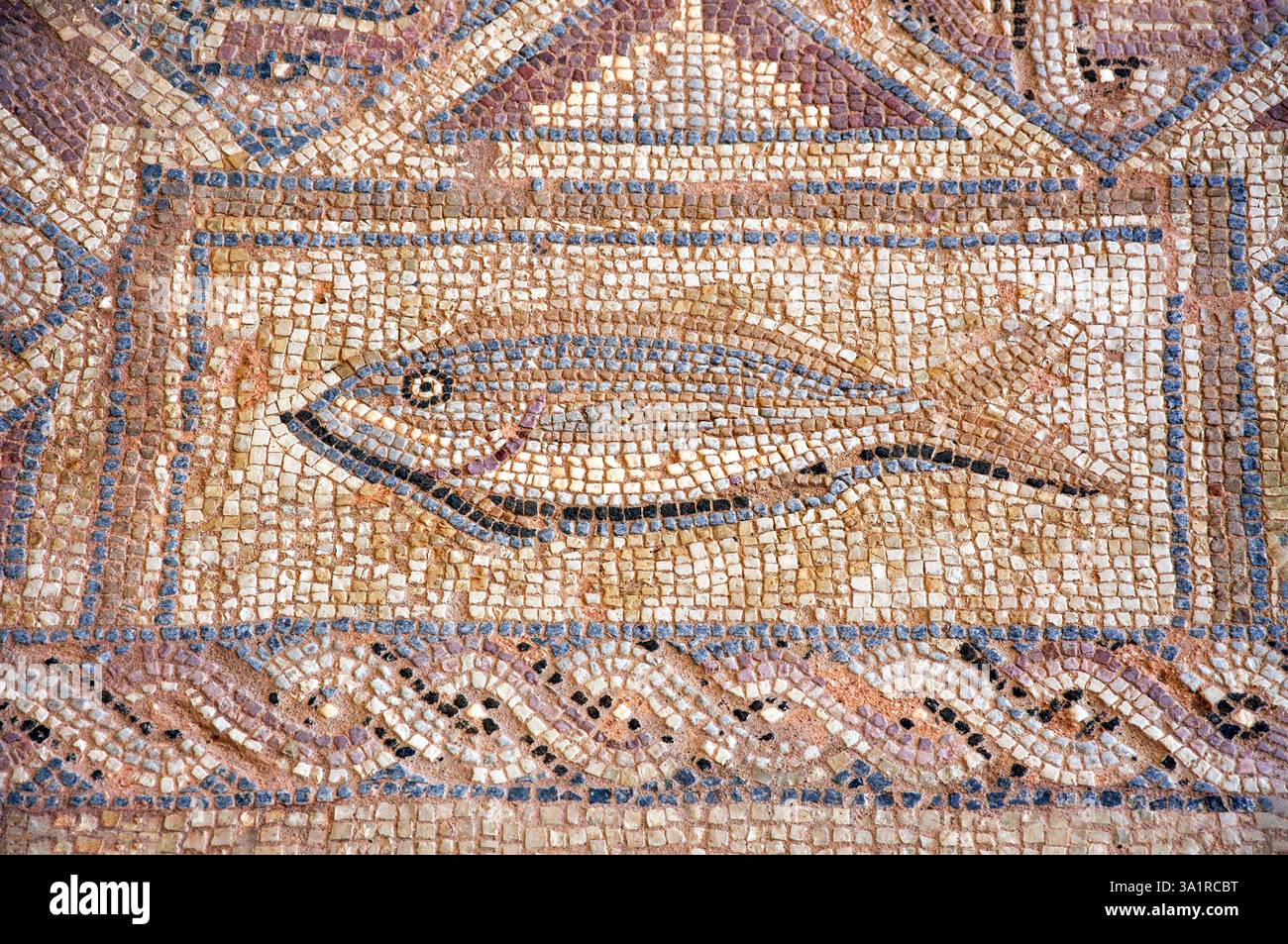 Mosaico di pesce dal complesso di Eustolios, Kourion, distretto di Limassol, Repubblica di Cipro Foto Stock