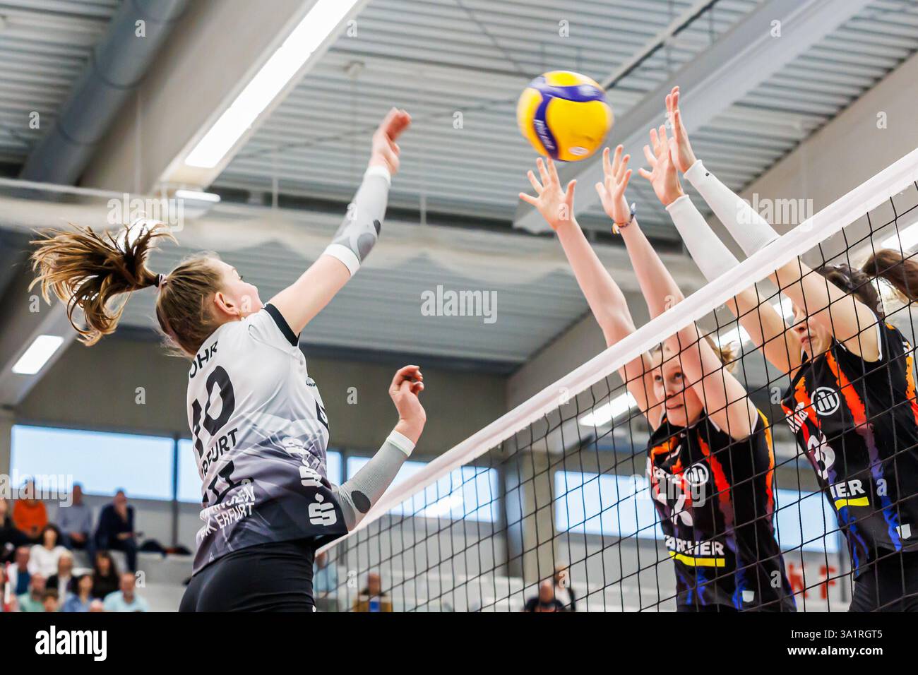 Erfurt, Germania. 8 marzo 2025. Pia Mohr (Schwarz-Weiss Erfurt, 10) überwindet den Block von Marie Steinhilber (MTV Stuttgart, 16) und Maria Segura Palleres (MTV Stuttgart, 33), 08.03.2025, Erfurt (Deutschland), pallavolo, 1) Bundesliga Frauen, Schwarz-Weiss Erfurt - Allianz MTV Stoccarda credito: dpa/Alamy Live News Foto Stock