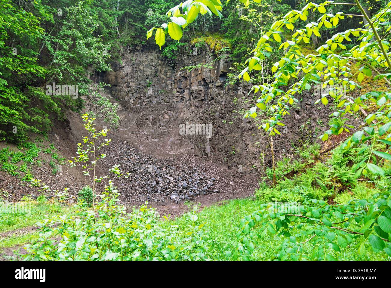 Cava su una montagna in una lussureggiante foresta verde Foto Stock
