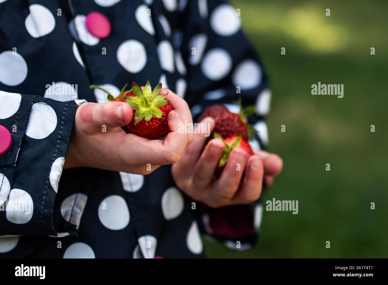 Bambino che tiene le fragole in Polka-Dot Coat Foto Stock