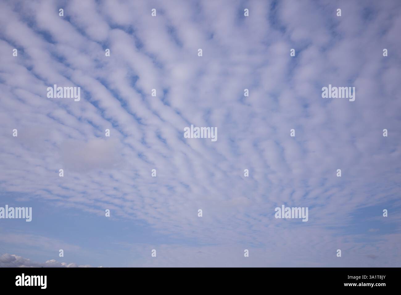 cielo azzurro con primo piano nuvola, sfondo naturale. nuvole nel cielo Foto Stock