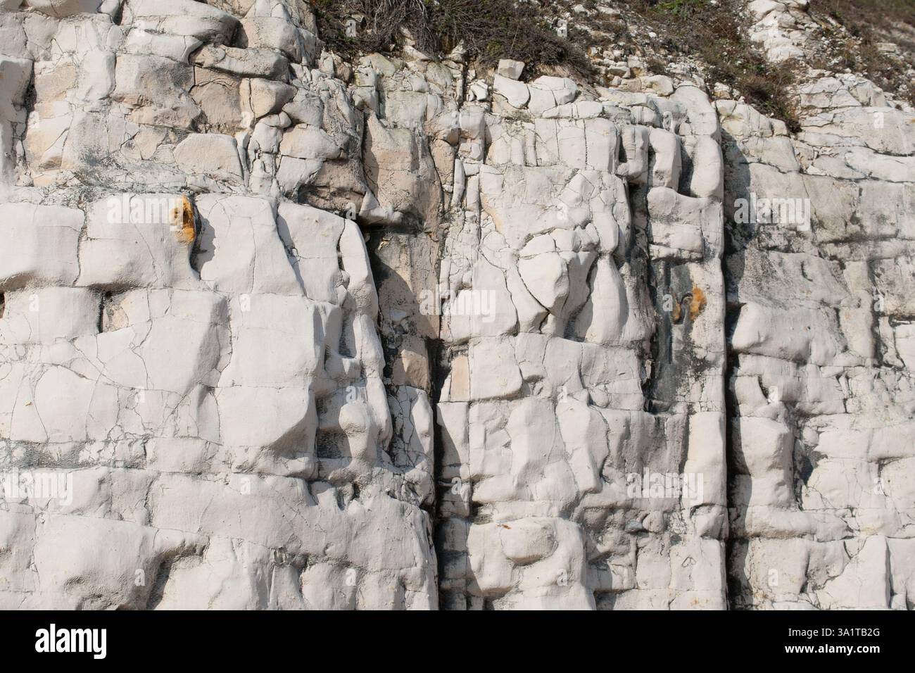 Botany Bay è una baia isolata, situata tra Margate e Broadstairs, che offre splendide vedute delle bianche scogliere e del mare Foto Stock