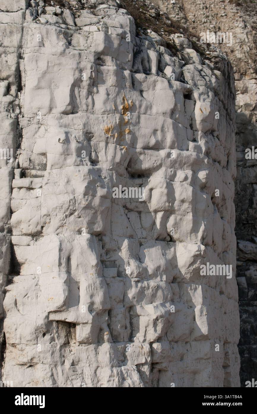 Botany Bay è una baia isolata, situata tra Margate e Broadstairs, che offre splendide vedute delle bianche scogliere e del mare Foto Stock