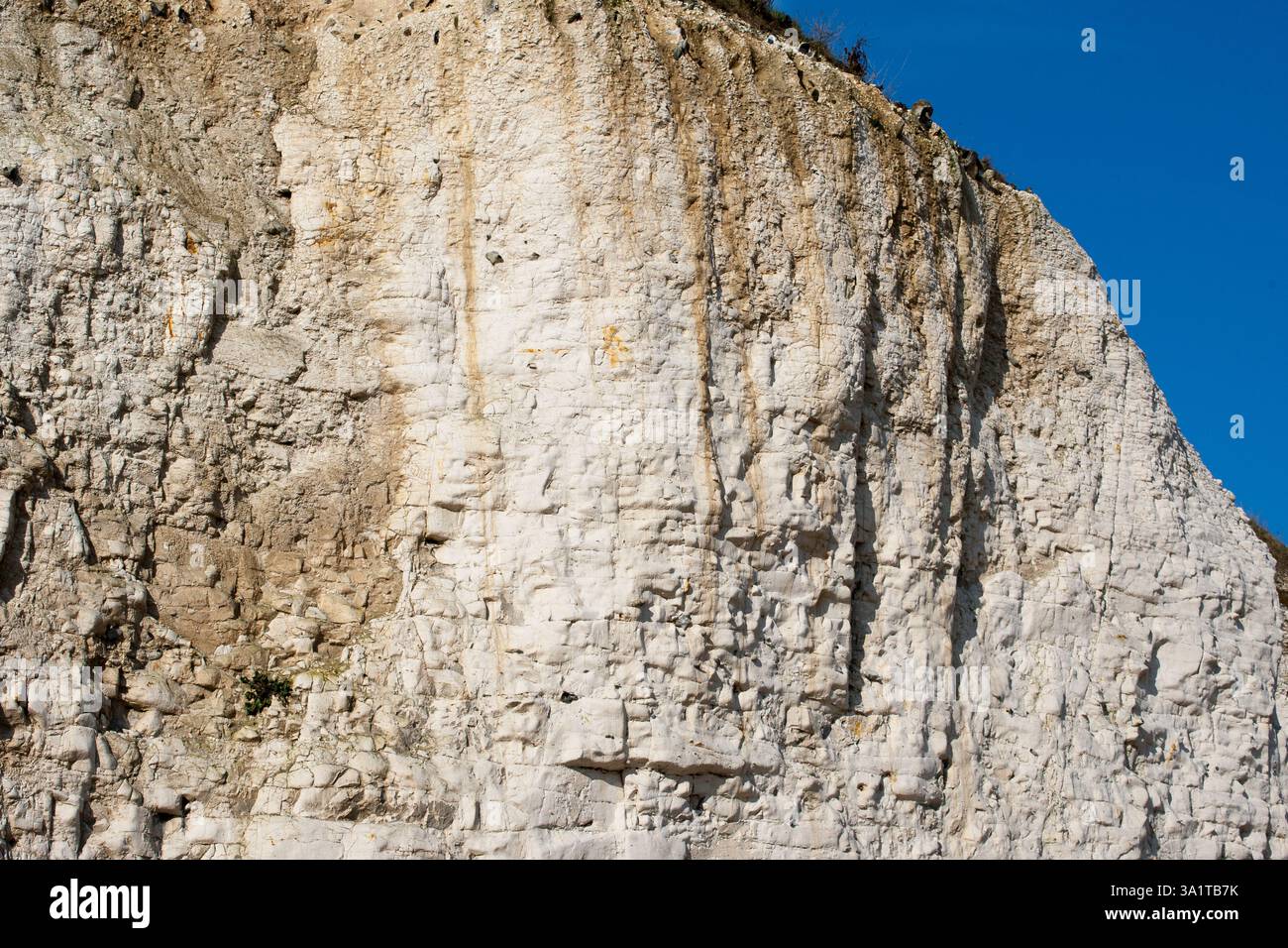 Botany Bay è una baia isolata, situata tra Margate e Broadstairs, che offre splendide vedute delle bianche scogliere e del mare Foto Stock