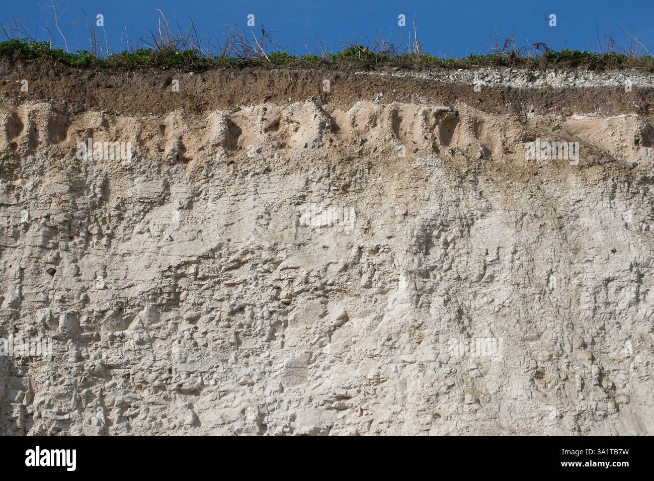 Botany Bay è una baia isolata, situata tra Margate e Broadstairs, che offre splendide vedute delle bianche scogliere e del mare Foto Stock
