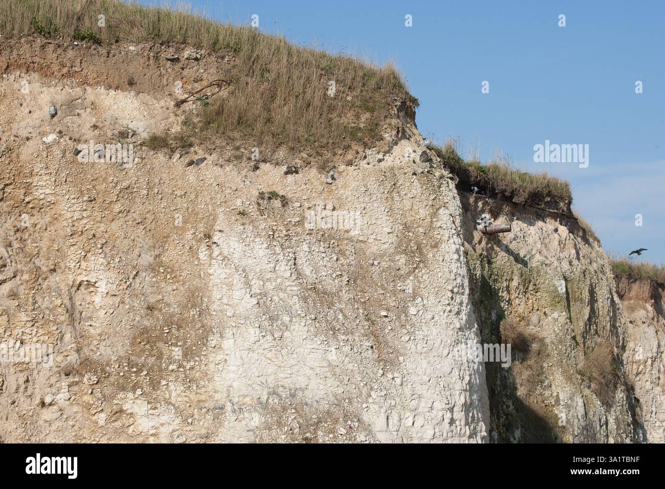 Botany Bay è una baia isolata, situata tra Margate e Broadstairs, che offre splendide vedute delle bianche scogliere e del mare Foto Stock