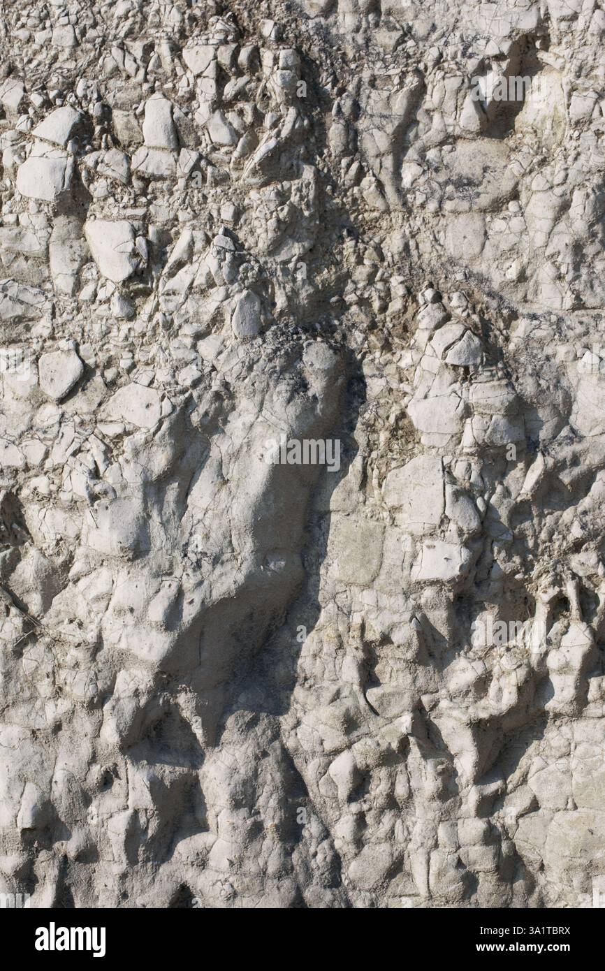 Botany Bay è una baia isolata, situata tra Margate e Broadstairs, che offre splendide vedute delle bianche scogliere e del mare Foto Stock