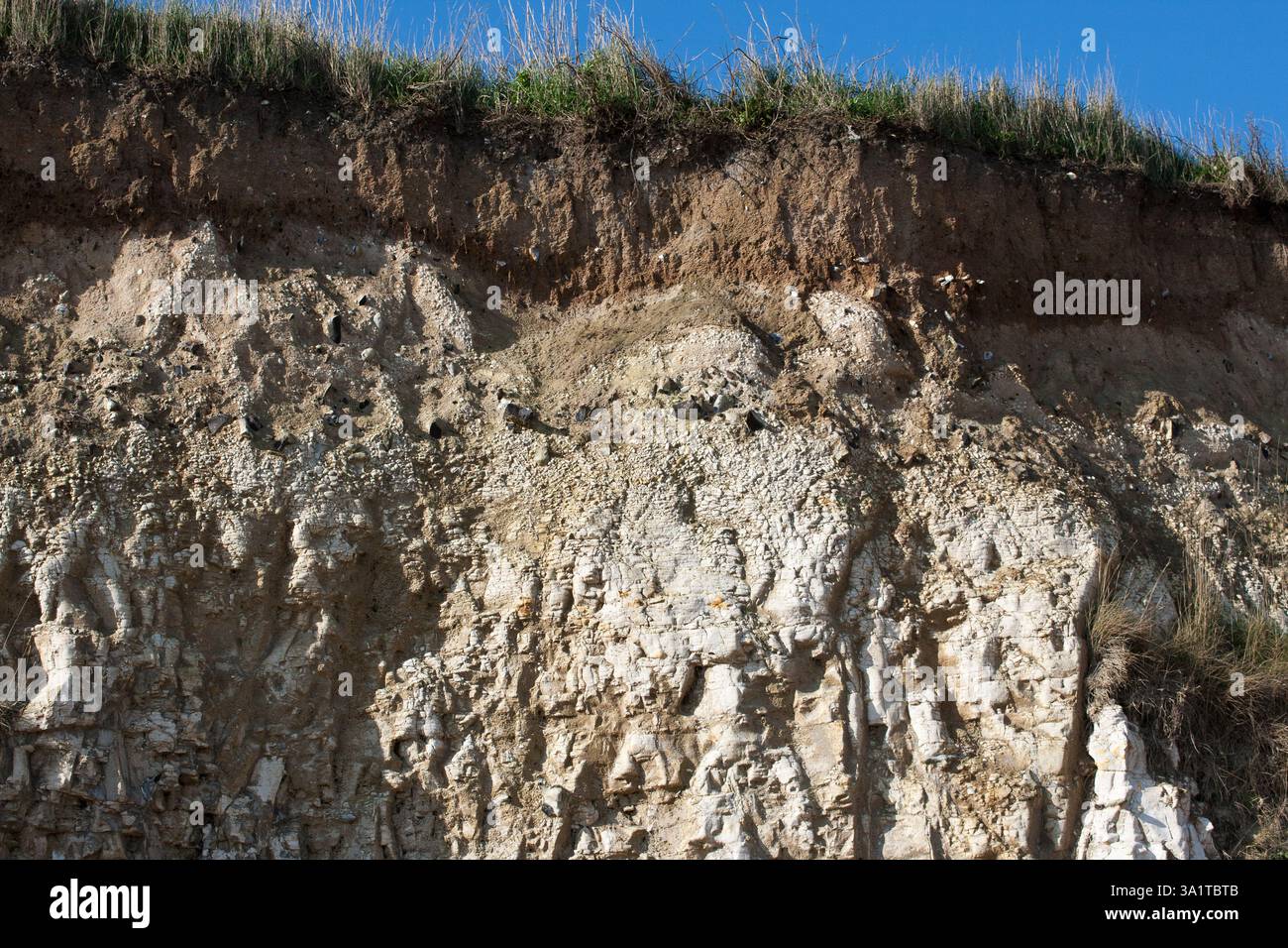 Botany Bay è una baia isolata, situata tra Margate e Broadstairs, che offre splendide vedute delle bianche scogliere e del mare Foto Stock