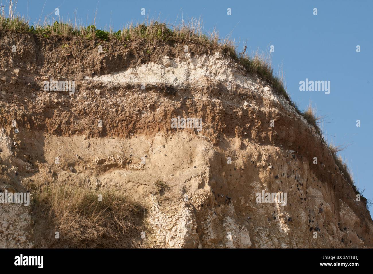 Botany Bay è una baia isolata, situata tra Margate e Broadstairs, che offre splendide vedute delle bianche scogliere e del mare Foto Stock
