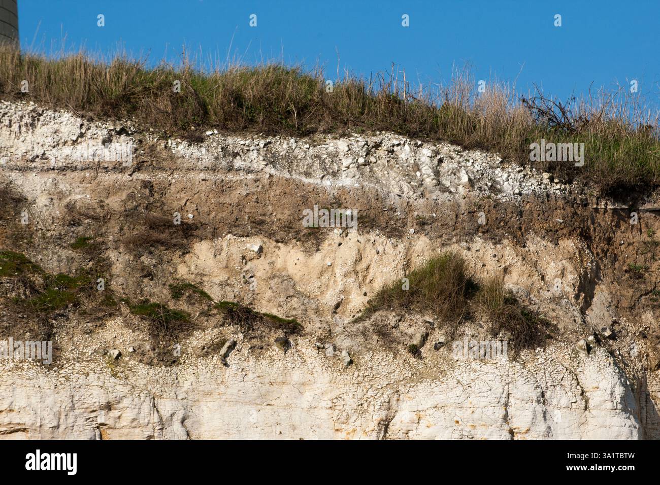 Botany Bay è una baia isolata, situata tra Margate e Broadstairs, che offre splendide vedute delle bianche scogliere e del mare Foto Stock