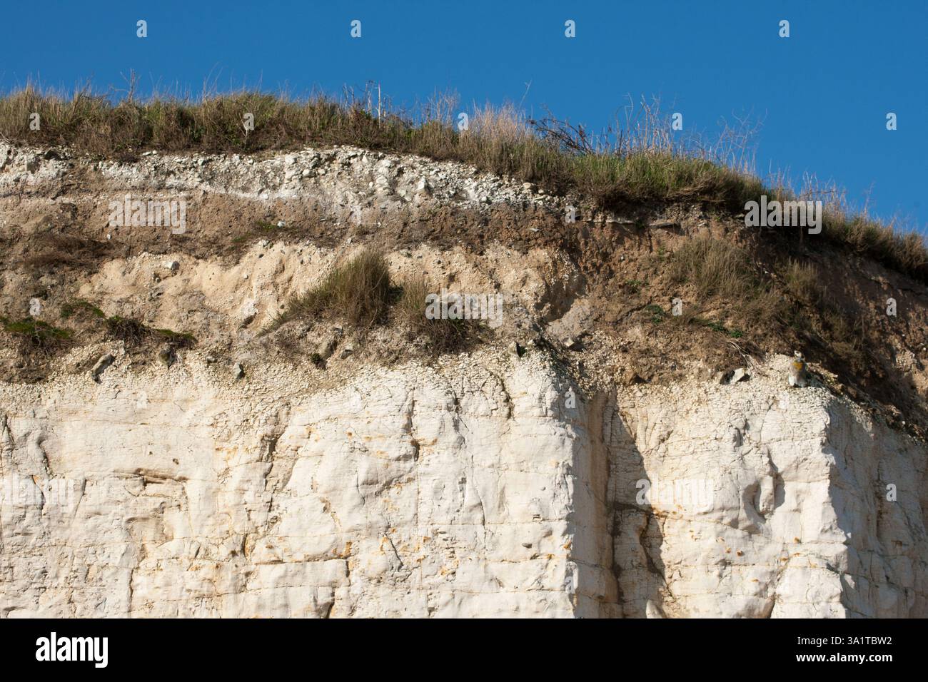 Botany Bay è una baia isolata, situata tra Margate e Broadstairs, che offre splendide vedute delle bianche scogliere e del mare Foto Stock