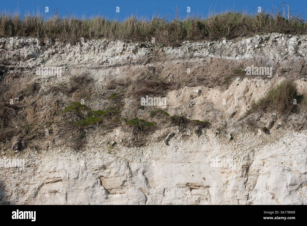 Botany Bay è una baia isolata, situata tra Margate e Broadstairs, che offre splendide vedute delle bianche scogliere e del mare Foto Stock