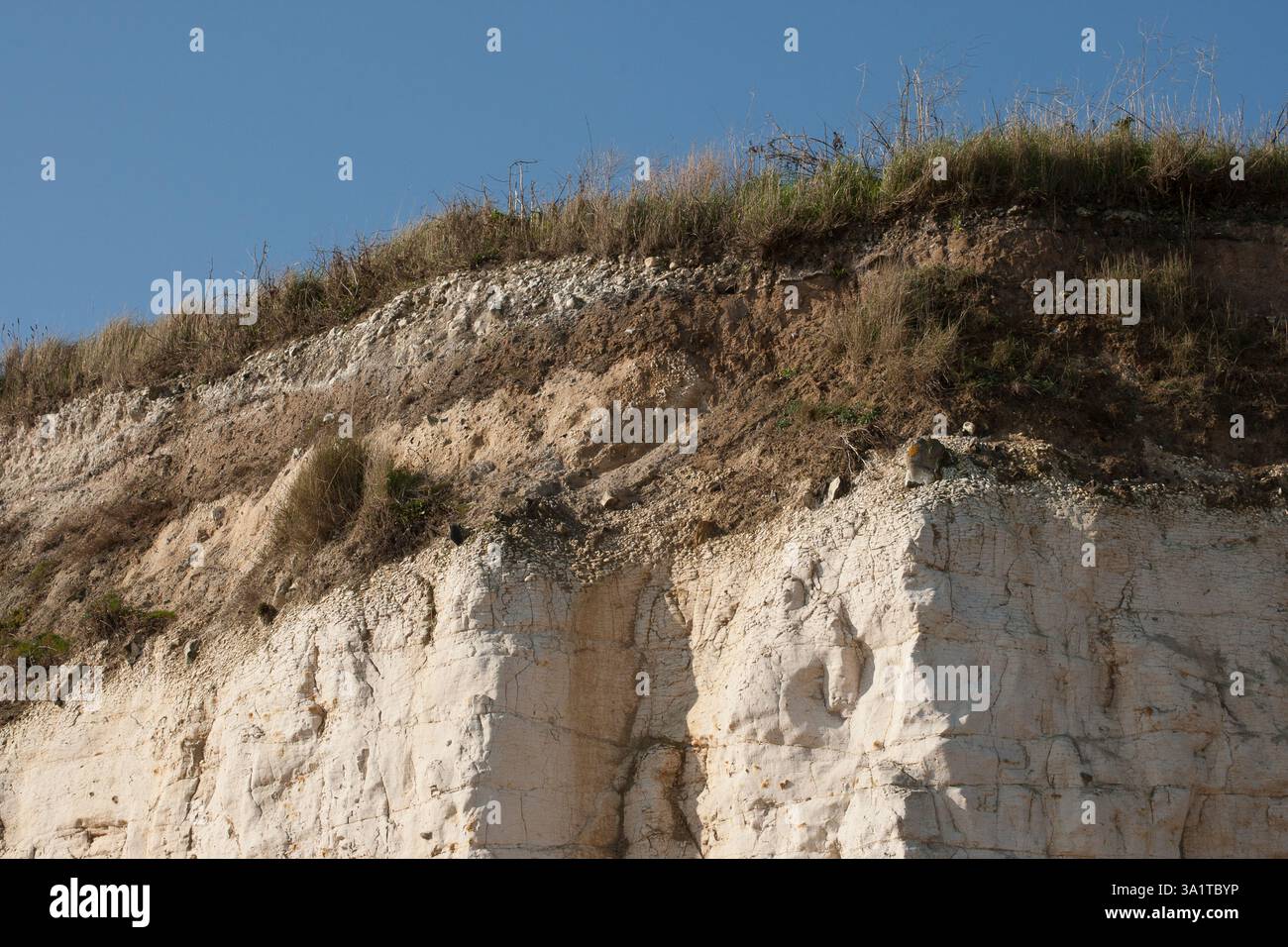 Botany Bay è una baia isolata, situata tra Margate e Broadstairs, che offre splendide vedute delle bianche scogliere e del mare Foto Stock
