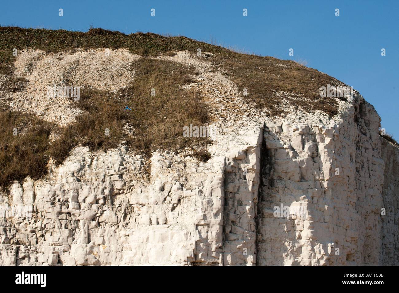 Botany Bay è una baia isolata, situata tra Margate e Broadstairs, che offre splendide vedute delle bianche scogliere e del mare Foto Stock