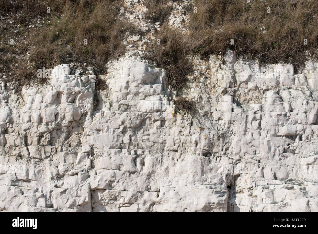 Botany Bay è una baia isolata, situata tra Margate e Broadstairs, che offre splendide vedute delle bianche scogliere e del mare Foto Stock