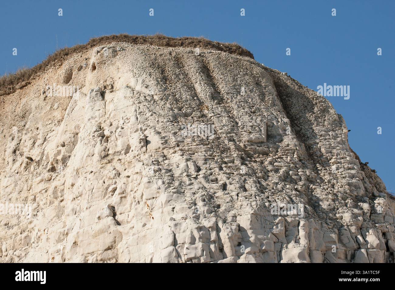 Botany Bay è una baia isolata, situata tra Margate e Broadstairs, che offre splendide vedute delle bianche scogliere e del mare Foto Stock