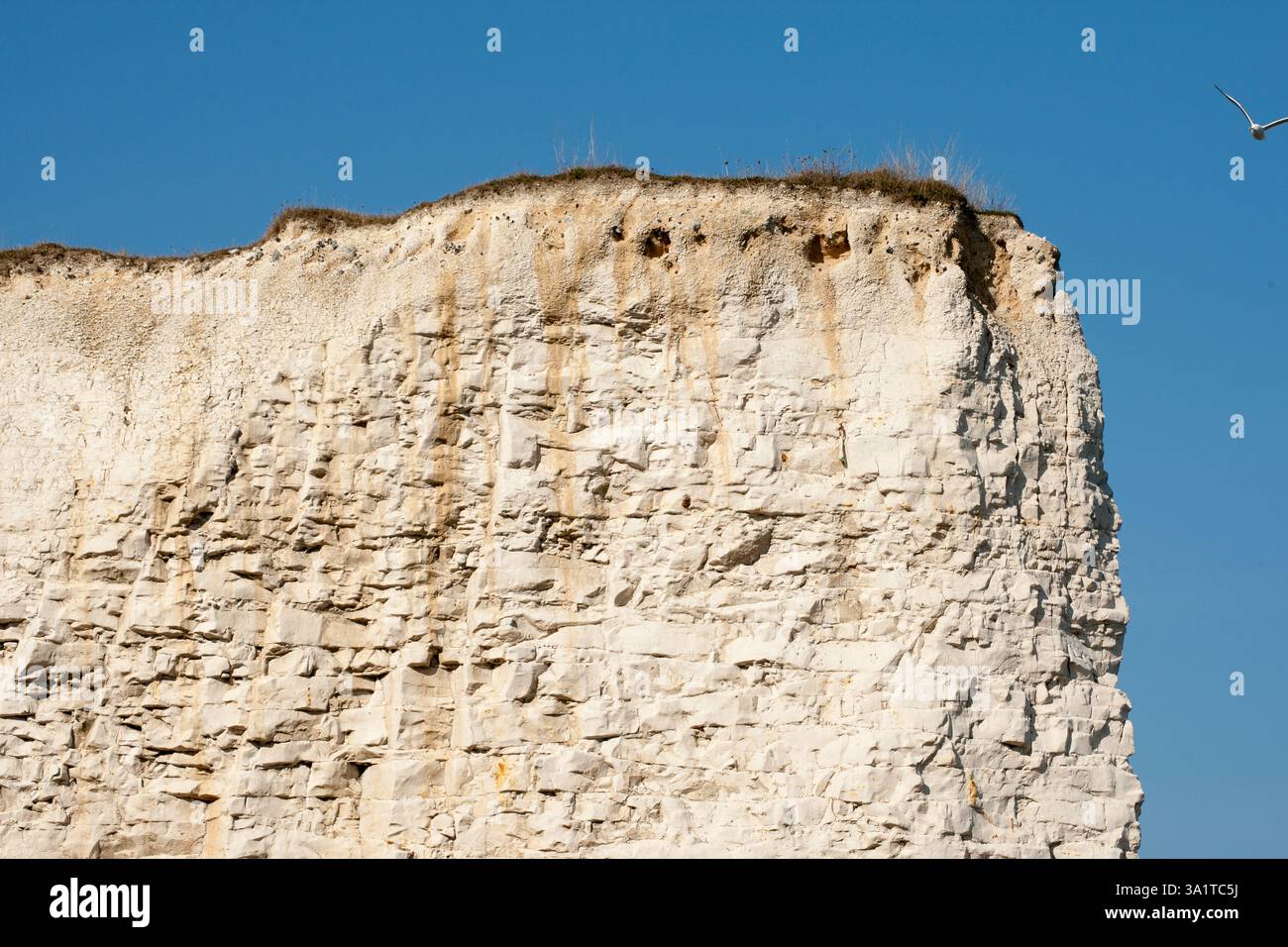 Botany Bay è una baia isolata, situata tra Margate e Broadstairs, che offre splendide vedute delle bianche scogliere e del mare Foto Stock