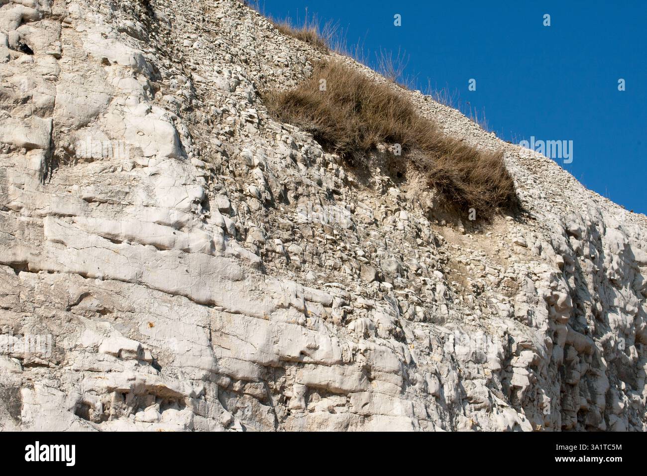 Botany Bay è una baia isolata, situata tra Margate e Broadstairs, che offre splendide vedute delle bianche scogliere e del mare Foto Stock
