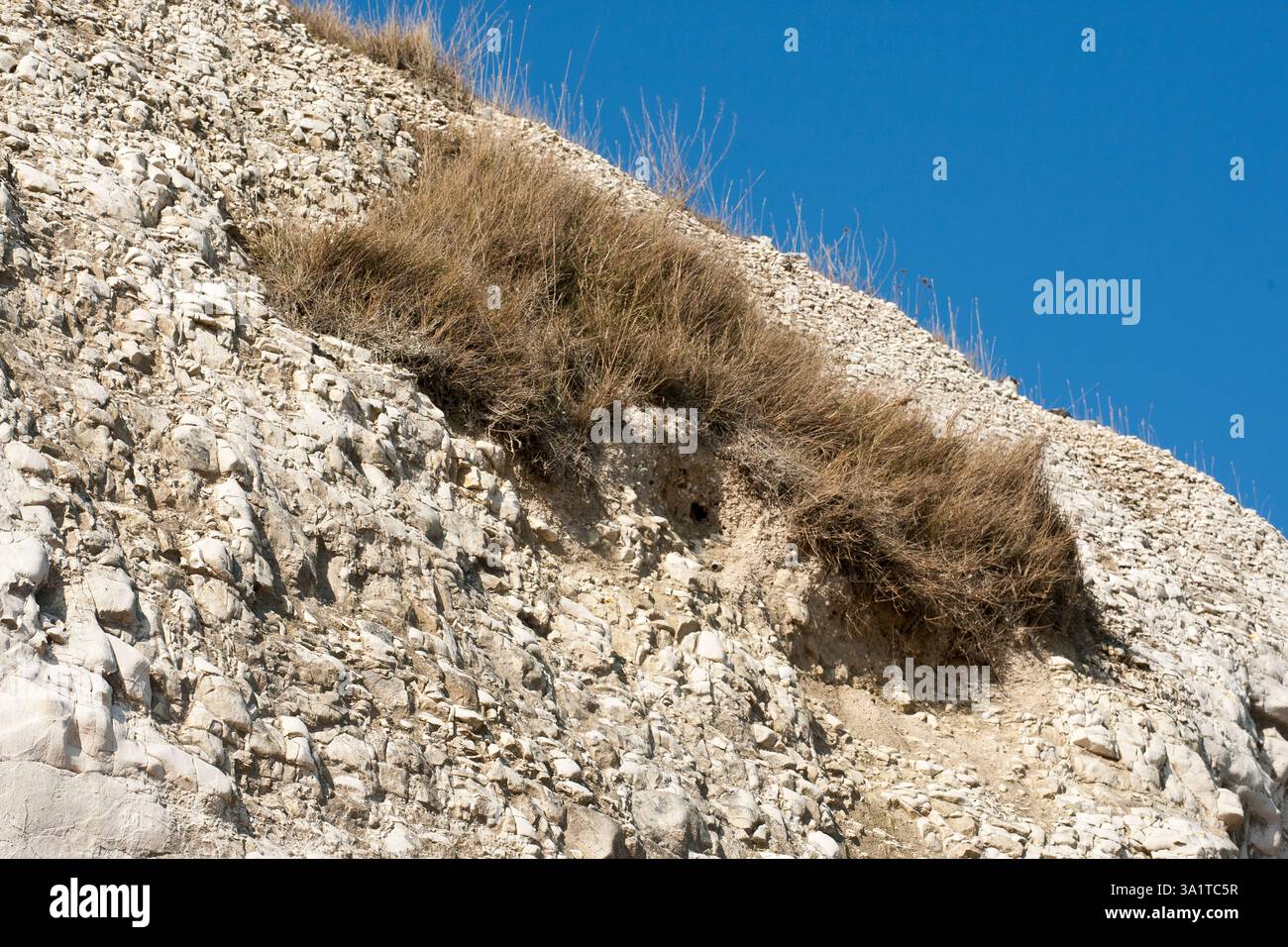 Botany Bay è una baia isolata, situata tra Margate e Broadstairs, che offre splendide vedute delle bianche scogliere e del mare Foto Stock