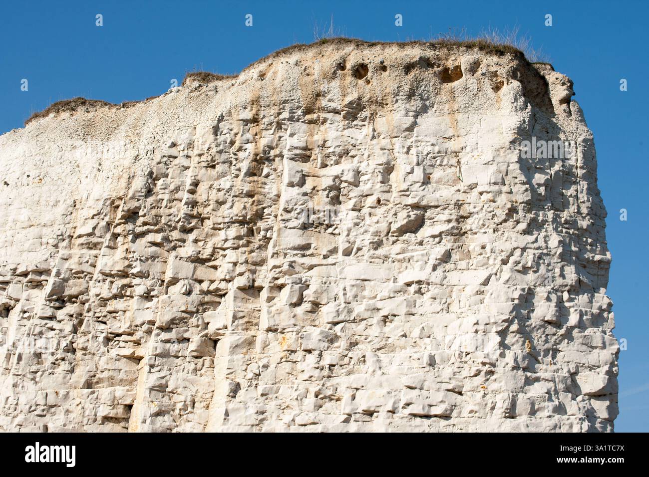 Botany Bay è una baia isolata, situata tra Margate e Broadstairs, che offre splendide vedute delle bianche scogliere e del mare Foto Stock