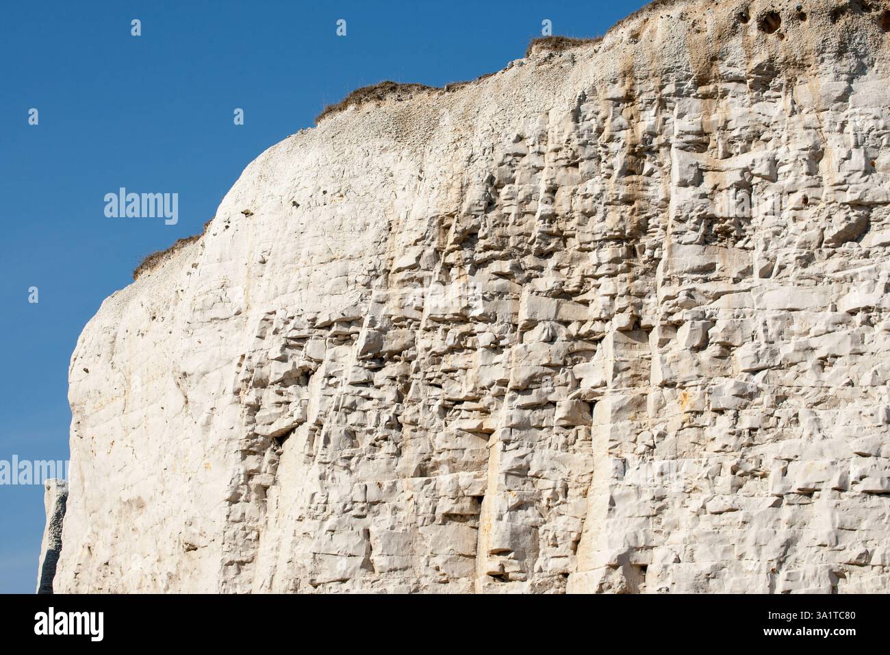 Botany Bay è una baia isolata, situata tra Margate e Broadstairs, che offre splendide vedute delle bianche scogliere e del mare Foto Stock