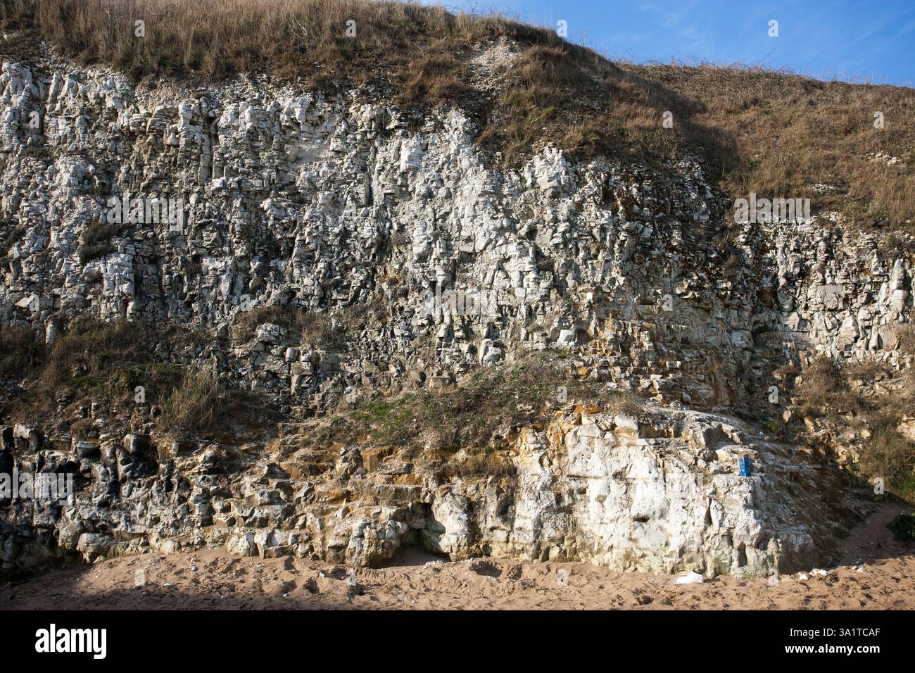Botany Bay è una baia isolata, situata tra Margate e Broadstairs, che offre splendide vedute delle bianche scogliere e del mare Foto Stock