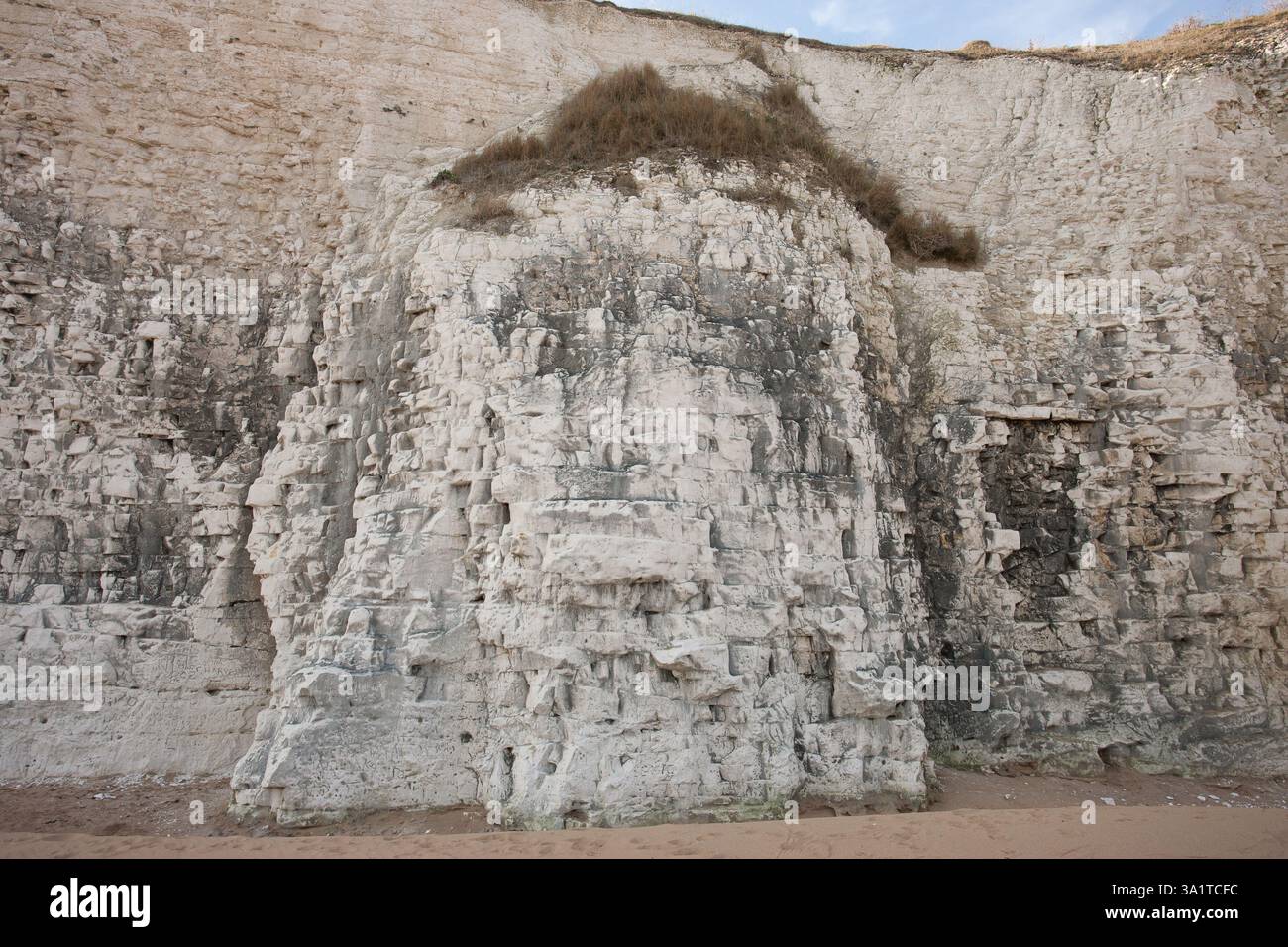 Botany Bay è una baia isolata, situata tra Margate e Broadstairs, che offre splendide vedute delle bianche scogliere e del mare Foto Stock