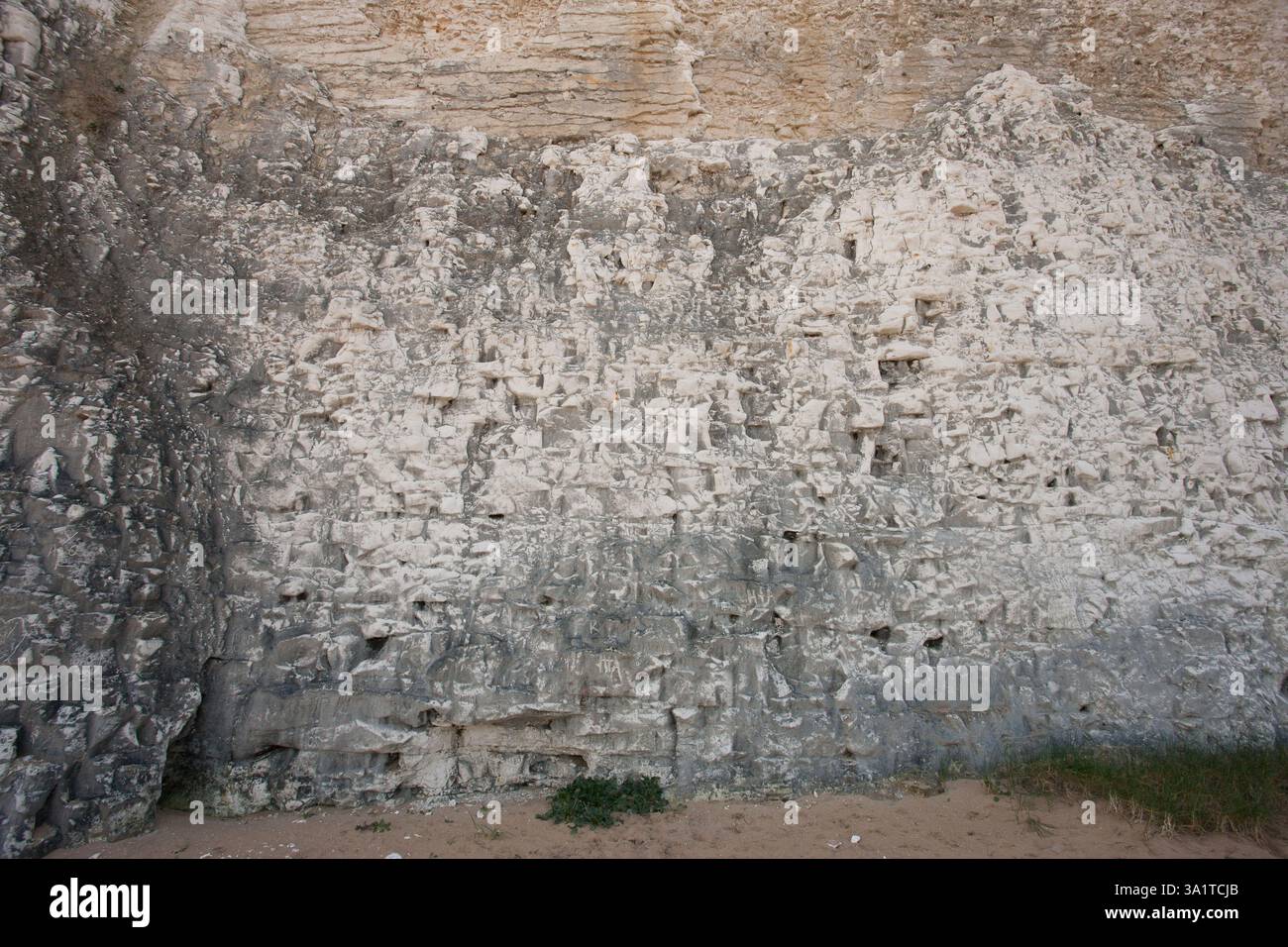 Botany Bay è una baia isolata, situata tra Margate e Broadstairs, che offre splendide vedute delle bianche scogliere e del mare Foto Stock