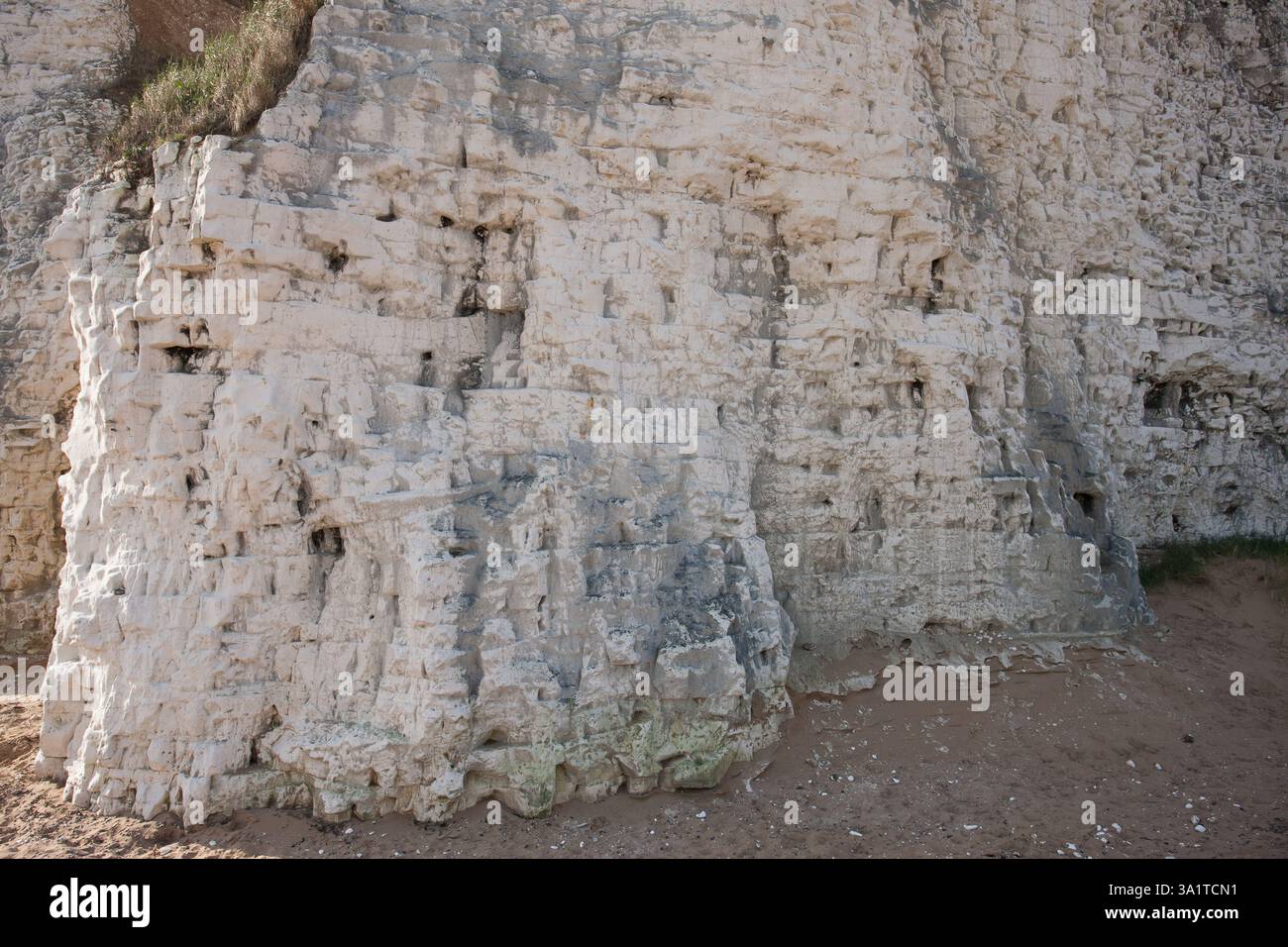 Botany Bay è una baia isolata, situata tra Margate e Broadstairs, che offre splendide vedute delle bianche scogliere e del mare Foto Stock